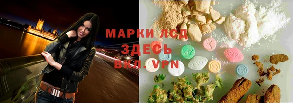гидра Алексеевка